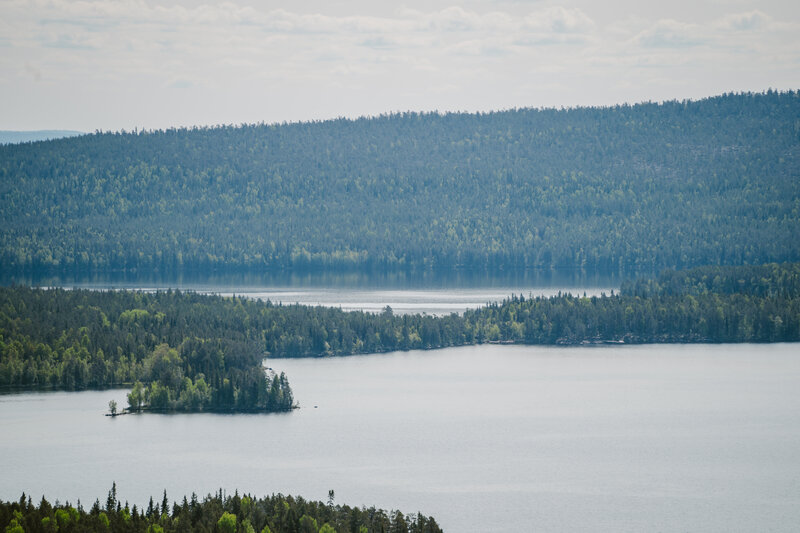 DSC8289.JPG