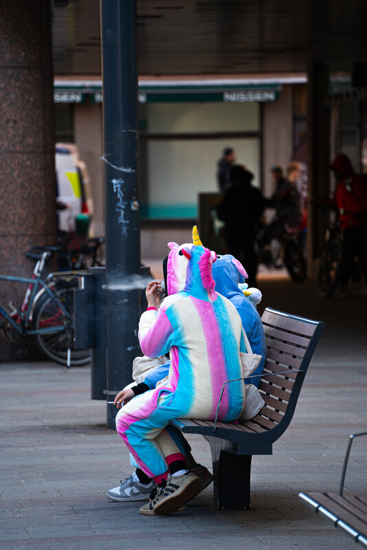 DSC5482.JPG